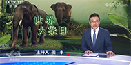 《焦點訪談》亞洲象 我們守護你